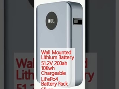 ওয়াল মাউন্ট লিথিয়াম ব্যাটারি 51.2V 200ah 10Kwh চার্জযোগ্য LiFePo4 ব্যাটারি প্যাক স্লিভার